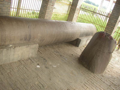 Niglihawa pillar. Image Google